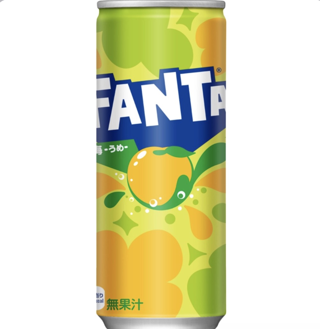 FANTA PLUM 250ML MHD 12/25